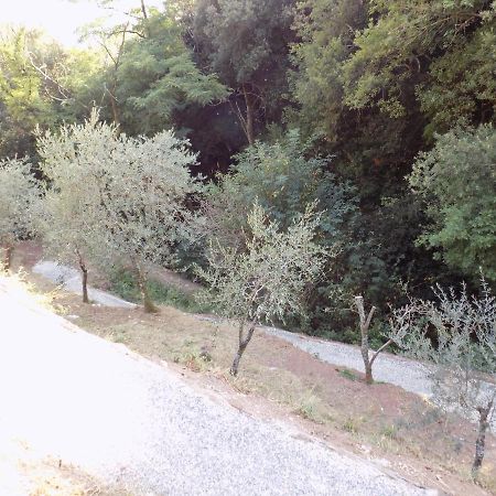 Fattoria Ceragioli Villa Camaiore Exteriör bild