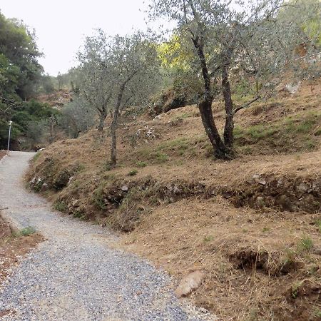 Fattoria Ceragioli Villa Camaiore Exteriör bild