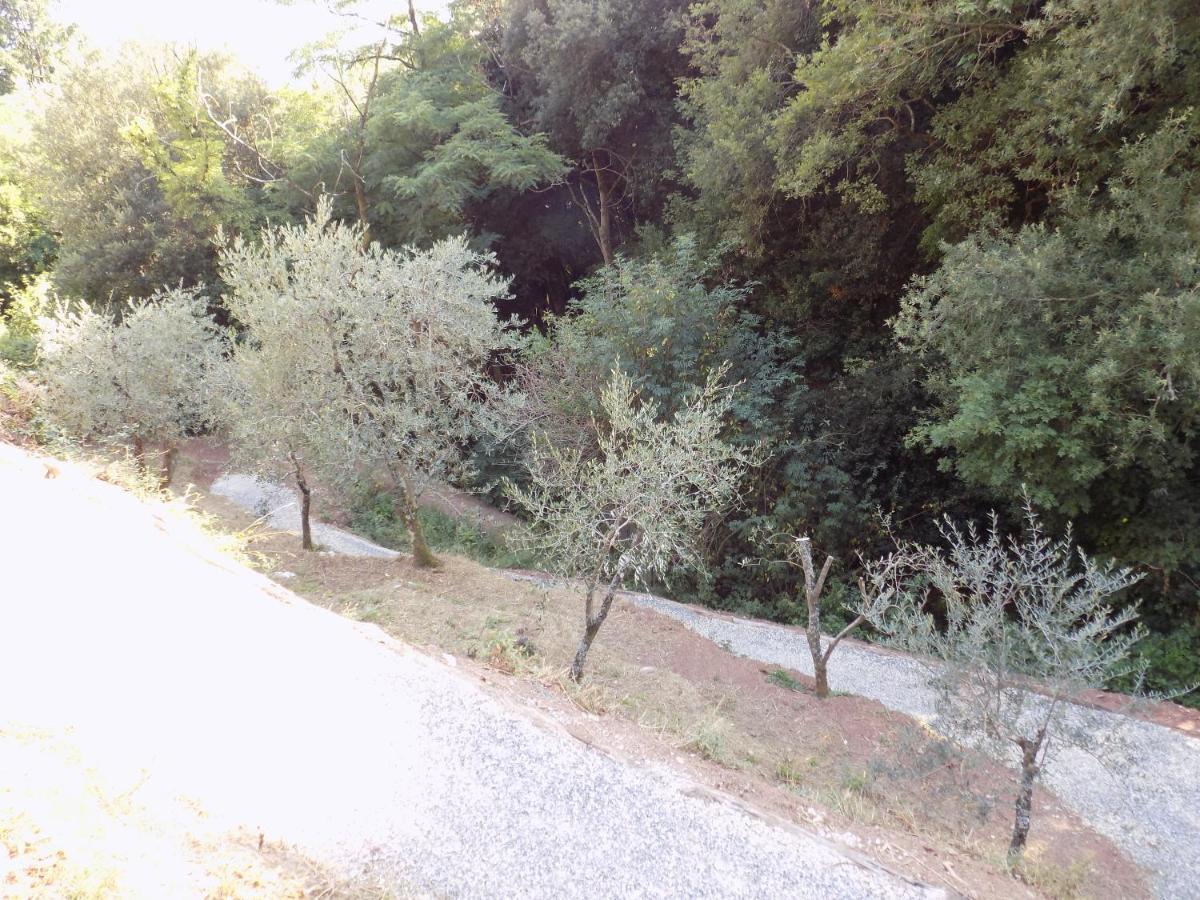 Fattoria Ceragioli Villa Camaiore Exteriör bild