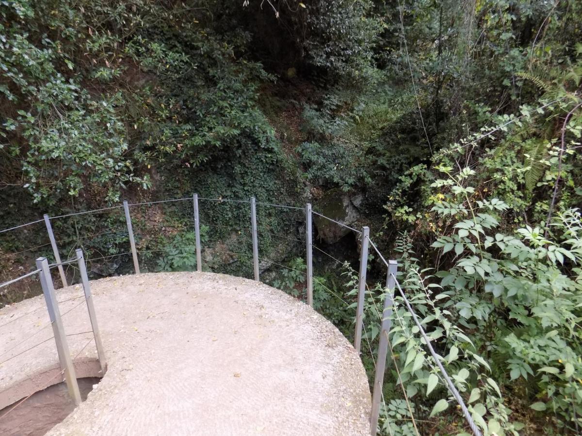 Fattoria Ceragioli Villa Camaiore Exteriör bild