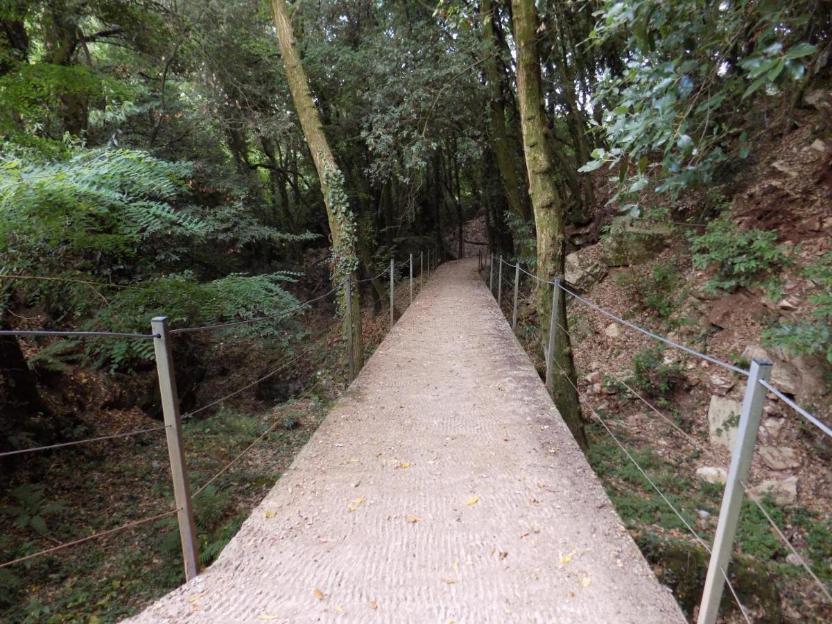 Fattoria Ceragioli Villa Camaiore Exteriör bild