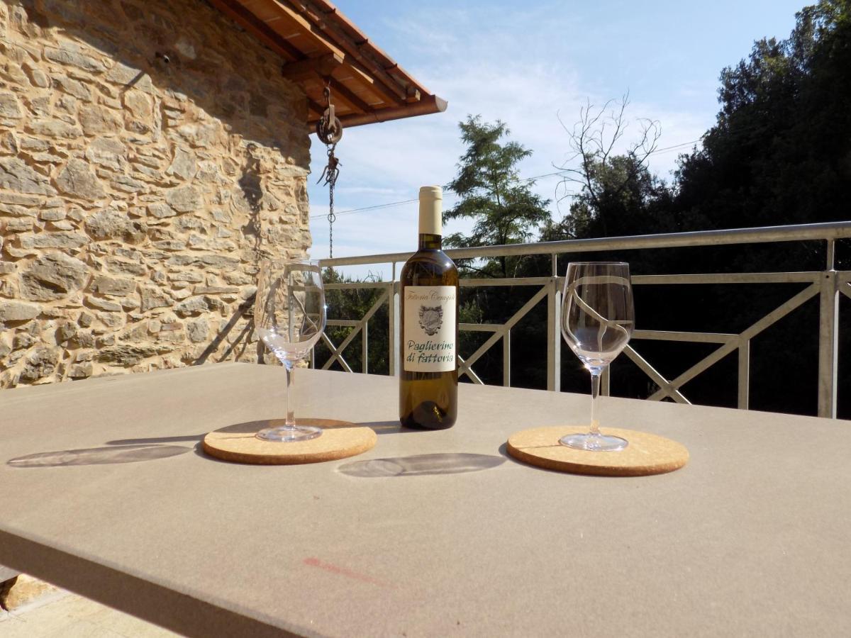 Fattoria Ceragioli Villa Camaiore Exteriör bild
