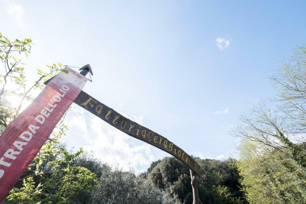 Fattoria Ceragioli Villa Camaiore Exteriör bild