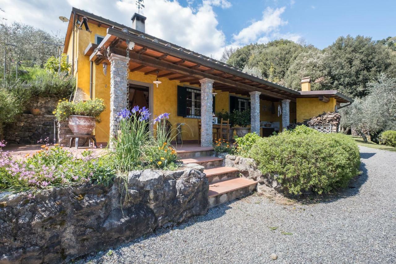 Fattoria Ceragioli Villa Camaiore Exteriör bild